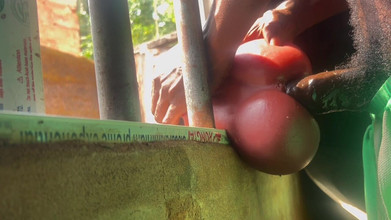 Bangcum8: मेरा लंड उस पर बहुत सख्त है जो मैंने किया था वह तेज है