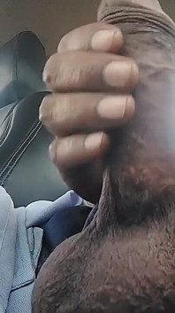 Top Class Long Dick