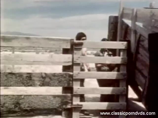 Classic Porn DVDs: Klasické porno DVD: Víkend cowgirl: část 1