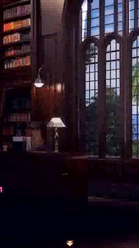 나디아의 보물 : 거대한 자지를 가진 남자가 도서관에서 밀프 따먹기 190