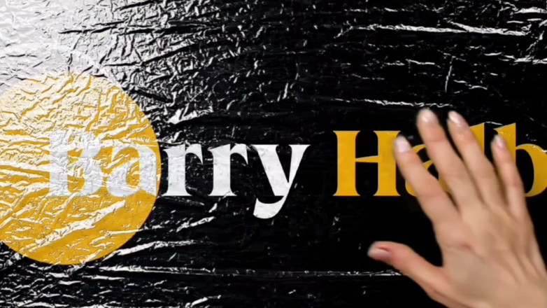 barryhlaby: Catching the Pcd Tourist