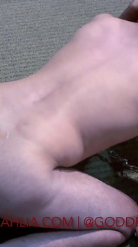 Bi-demütigung mit 2 sklaven - blowjob, arschlecken, pegging, spermaessen