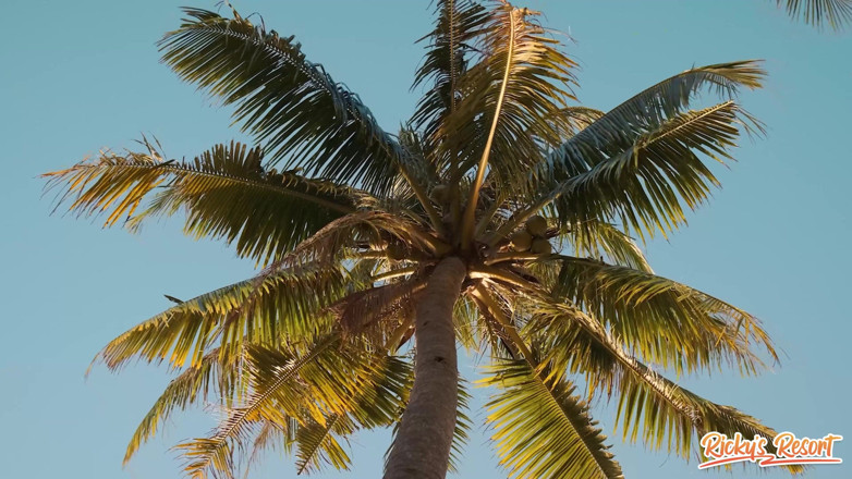 Ricky's Resort: Episodul resortului lui Ricky