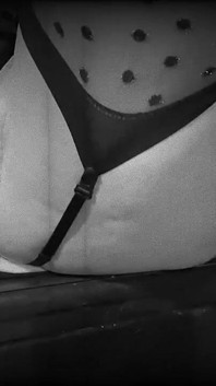 Tobie Nash and Wellington King Star in, the Governess. Our Homage to stag Films!