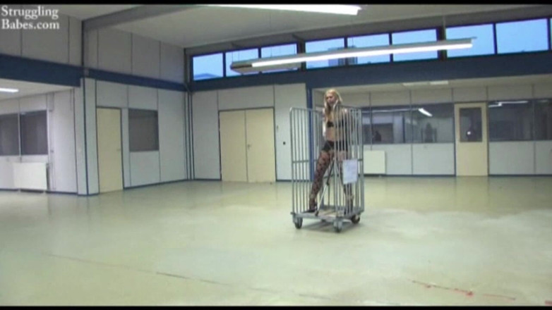 Submissed: Servizio di consegna della bambola 02 dildodoll