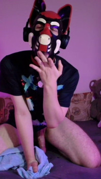 Playful Pup Jerks and Cums in Every Pose