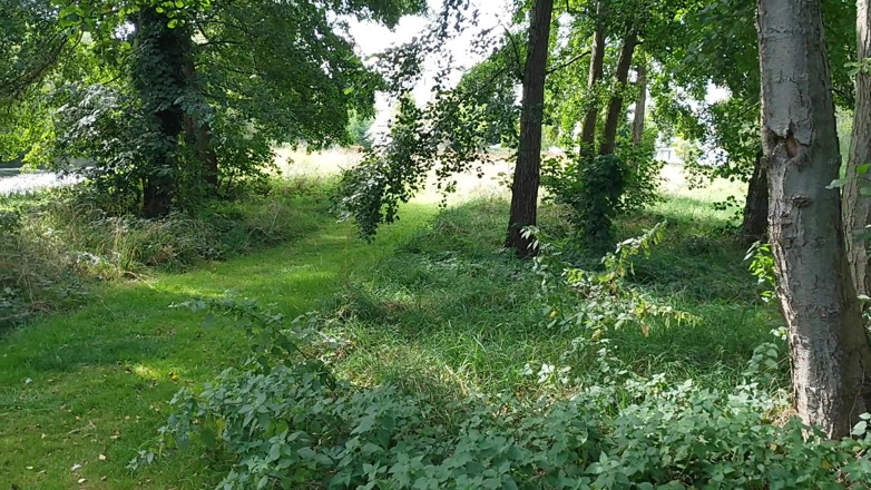 CharnElle: Muie riscantă în aer liber în parcul orașului, sunt prinși