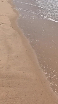 Got My Bikini Wet on Public Beach