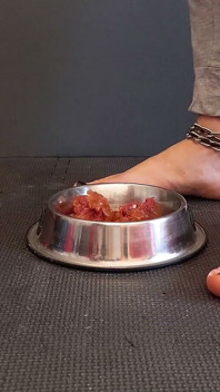Fleisch mit rohrstock unter den füßen