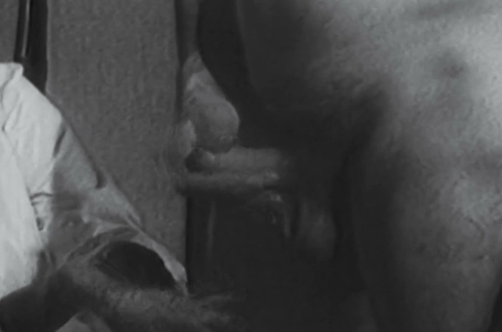 Vintage Erotic Archive: Dr. Delphine's Secret Cabinet - Restored &amp; Remastered