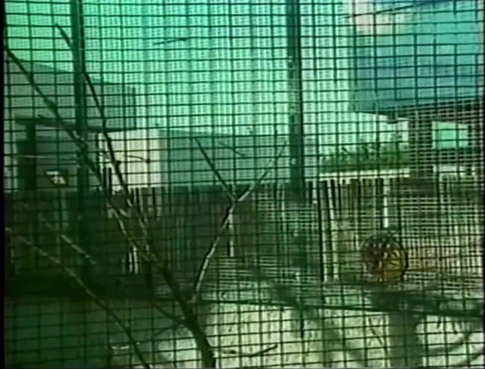 BiFantasy: emetar ubhaylingi paarti ghar par straigath utsuk aur larki ke...