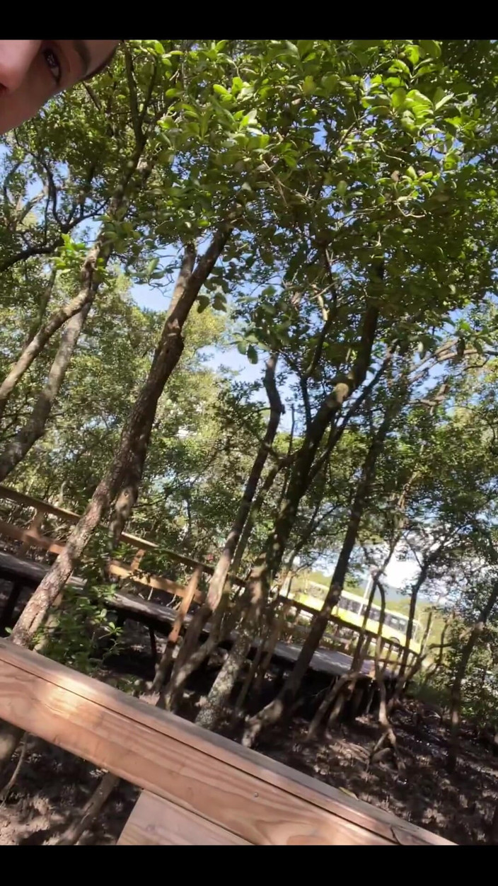 Pedro Surf: Sacudidas en el parque
