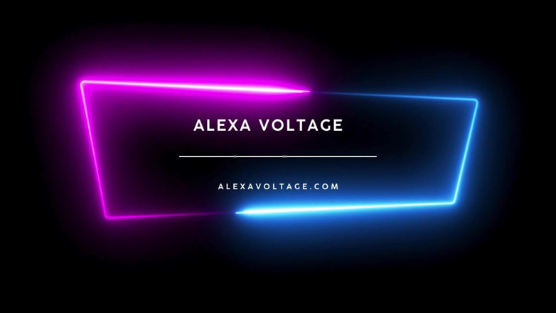 Alexa-Voltage: Badkamer Shenan op zijn hondjes