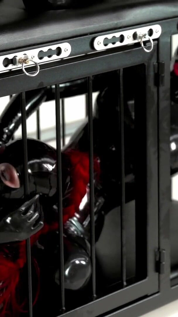 The Cage (Lizanne)