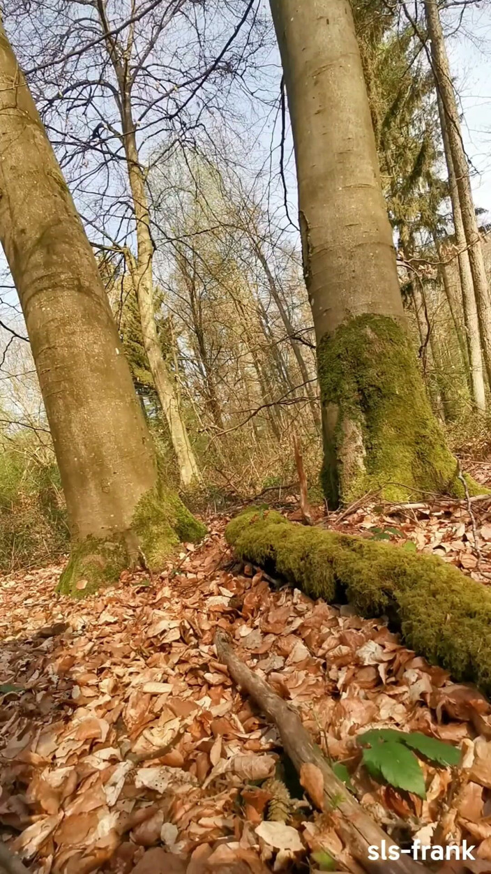 sls-frank: Sls-frank, Je Me Masturbe Entre Deux Arbres En Public Et...