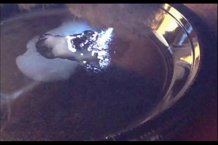 Random111zoig: Memoc 24