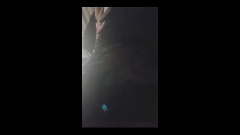 KNKY Bee: Estaba tratando de estar afuera