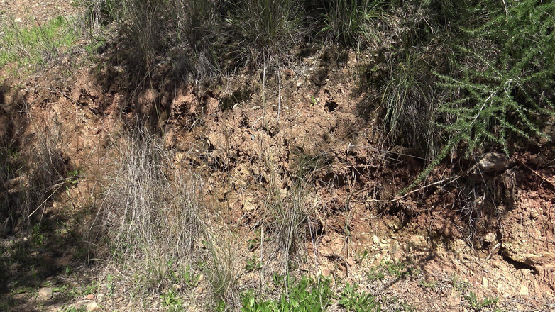 Stepmom Susan: Soția franceză încornorată în stațiunea nudistă Cap D'agde invită băieții să-i fută...