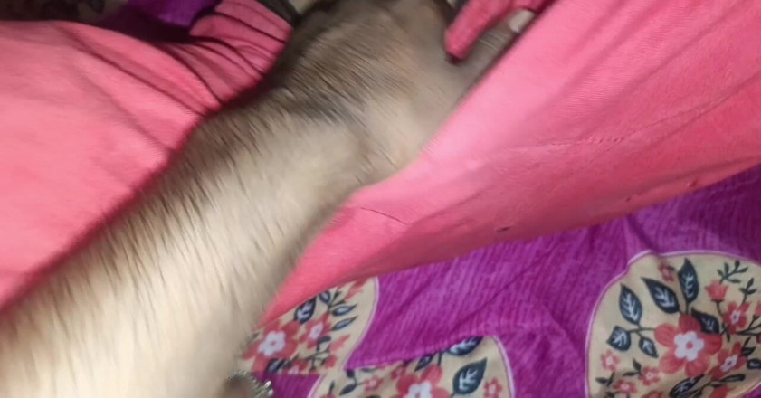 RAKP355: Primera vez, indias hermosas chicas en video de sexo