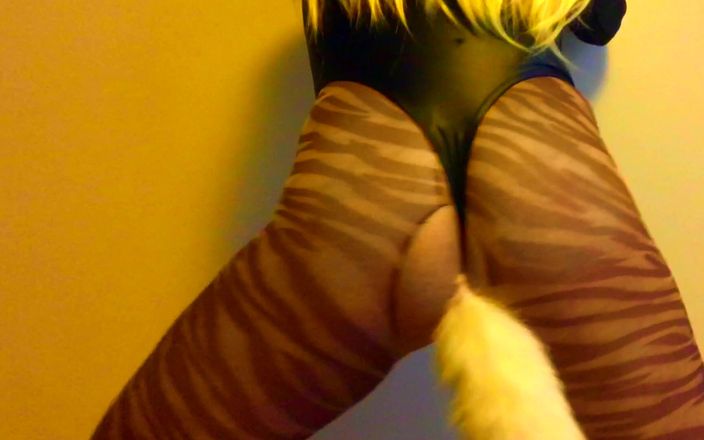 Paula CDzinha pornstar: Yavru kedi kostümü