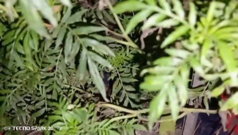Real Time Enjoy: Singur în casă cu pasiunea mea - ce s-a întâmplat în continuare vă va...