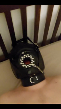 Tyrell Had to Eat My Stinky Socks