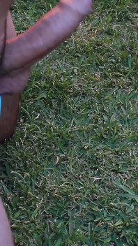 풀 에어 메이트