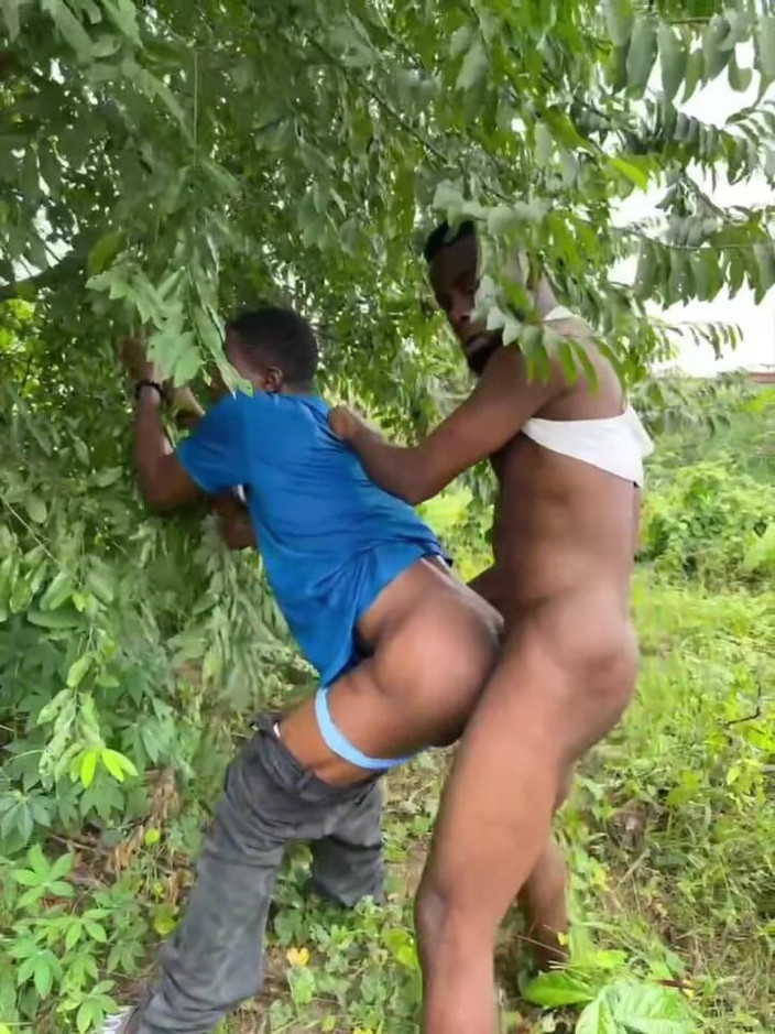 Darkskin_guy: 被农民钻
