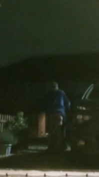 Bum Day Compilation