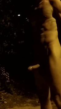 Crusing in a Park at Night - Getting Naked 2