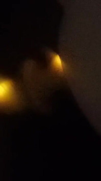 Dark Fun