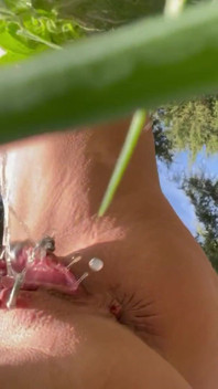 Pissing in My Garden.