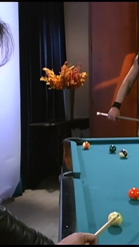 A Young Whore with Perfect Tits Fucked Well on the Pool Table