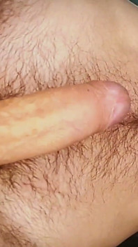 Will You Suck My Hairy Balls?