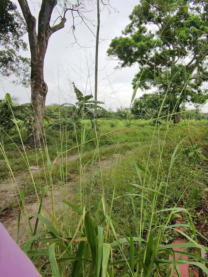 EMY_AND_JONH: Я хотела пососать его хуй и трахнуть меня на улице, мне очень нравится, это