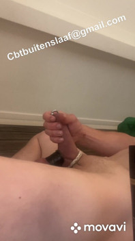 Búa bi
