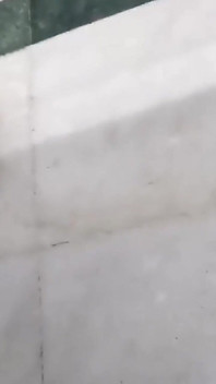 Blowjob