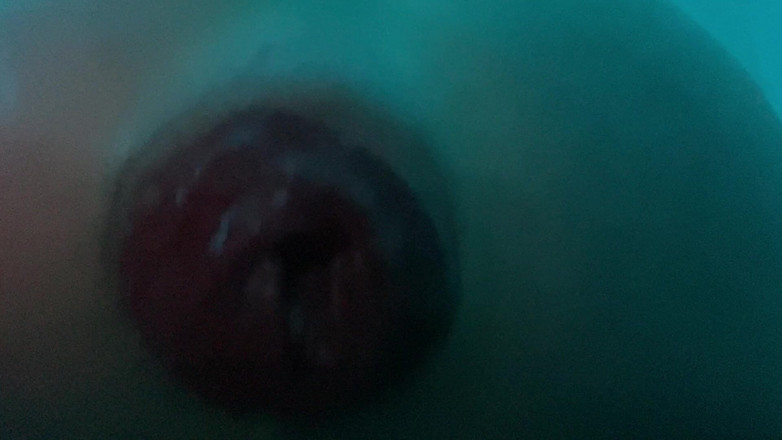 DickTaterish: 자지 따먹기