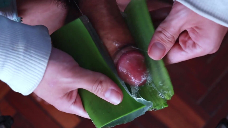 MGEc21: Korzystanie z Aloe Vera jako światło ciała