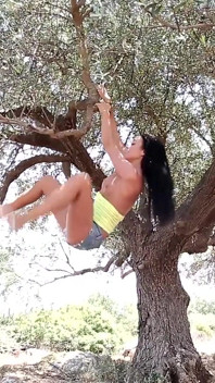 Tree of Life
