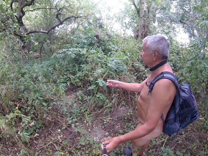 Andy: ウォーク50 2025