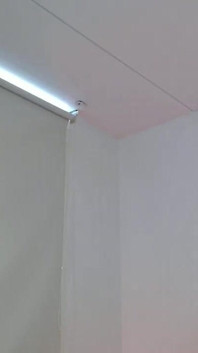 타액으로 바닥을 핥기
