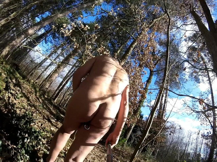 Andy: Шестая прогулка 2025