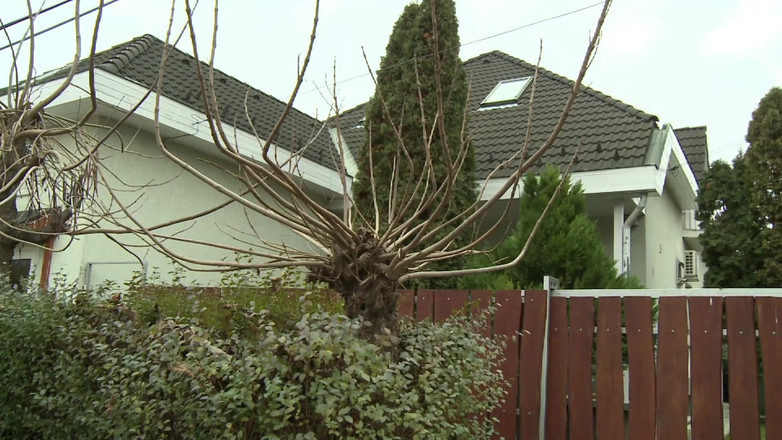 Old & Young: Family Role Play Blonde Babes Suck and Fuck Hard