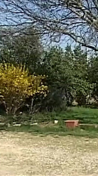 Das portal predigt das böse gute rases - kompletter film - klassischer italienischer porno, restauriert in HD