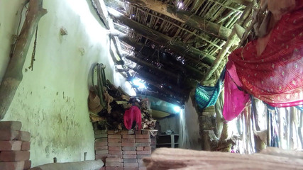 Premi pooja: 我们新婚，我们都去了丛林，我让她喝了牛奶，让她享受