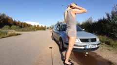 Sunny by the Car thumbnail