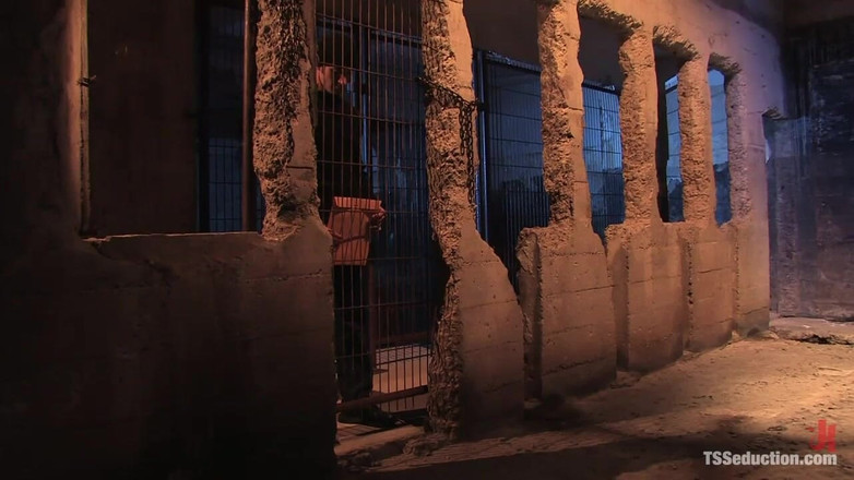 TS Seduction by Kink: TS Alyssa atârnată și șantaj nomad șantajează