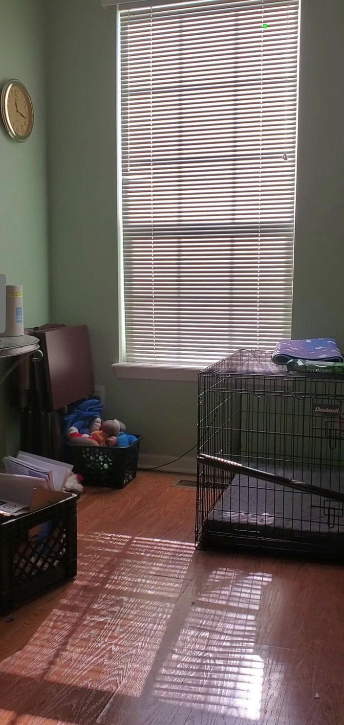 DURABLE PAPYRUS93: Estrés