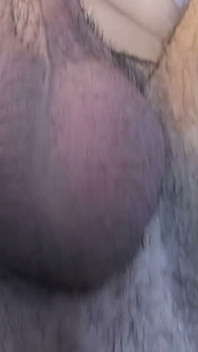 Bearded Hunk Gets Spit and Fucked by Muscular Stud